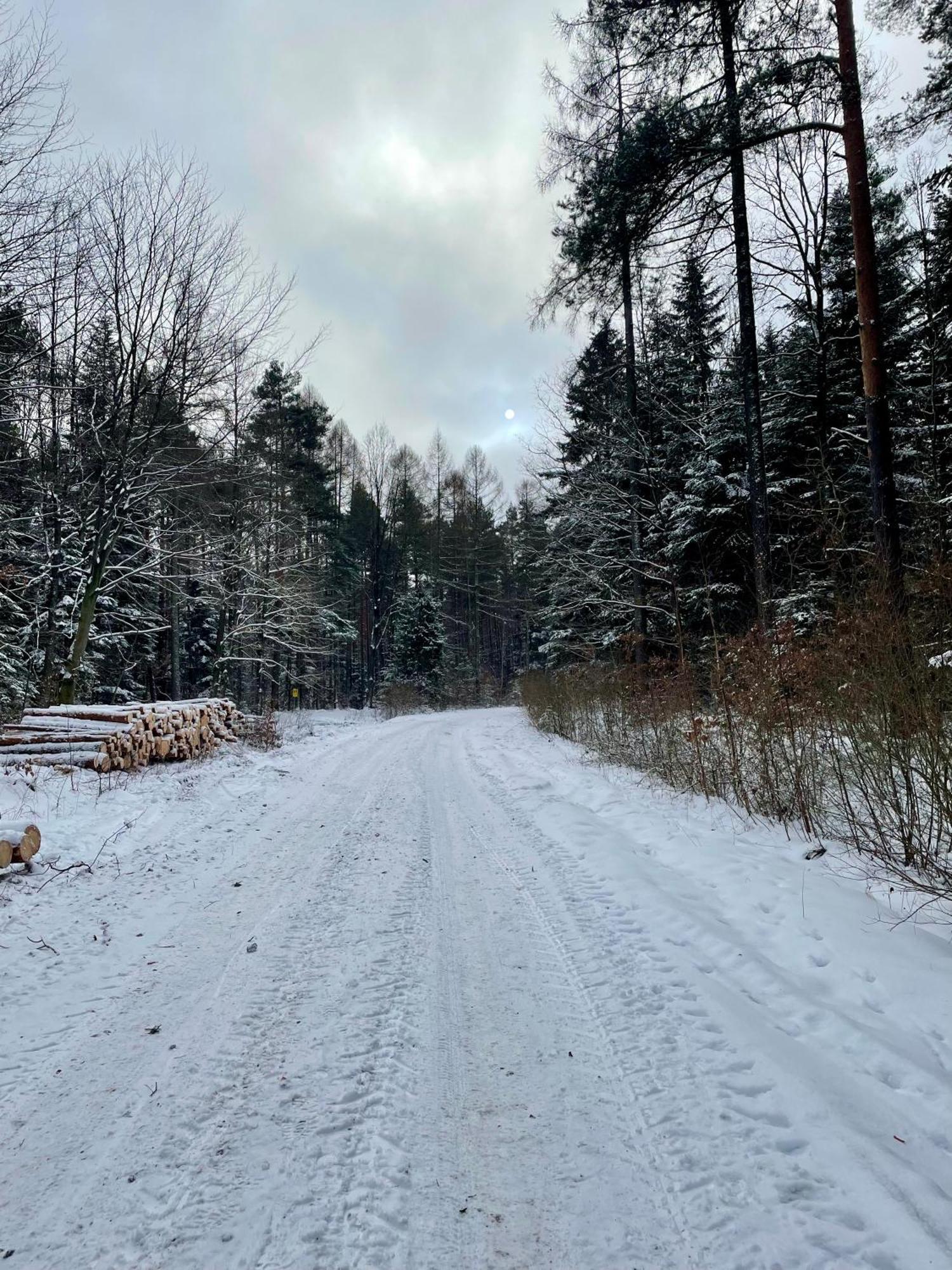 Stodola Na Kresach - Widokowy Drewniany, Caloroczny Jacuzzi & Sauna Bodzentyn